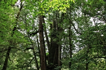 IMG_9627.JPG
