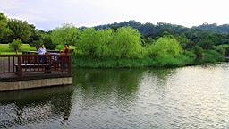 IMG_9645.JPG