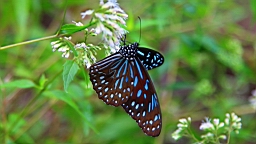IMG_9683.JPG