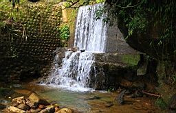 IMG_1008.JPG