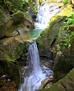 IMG_1012.JPG