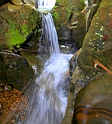 IMG_1013.JPG