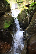 IMG_1015.JPG