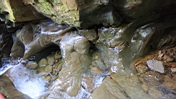 IMG_1016.JPG