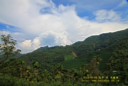 IMG_1153.JPG