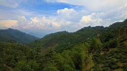 IMG_1165.JPG