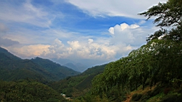 IMG_1168.JPG