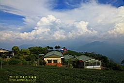 IMG_1206t.JPG