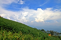 IMG_1211.JPG