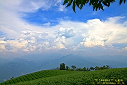 IMG_1219t.JPG
