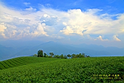 IMG_1220t.JPG