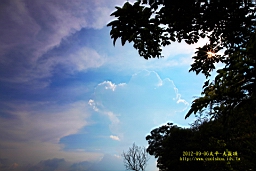 IMG_1237t.JPG
