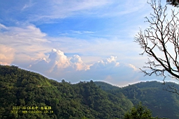 IMG_1238t.JPG