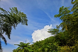 IMG_1240tJPG.jpg