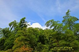 IMG_1244.JPG