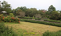 IMG_1272.JPG