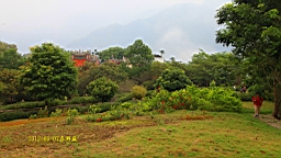 IMG_1274.JPG