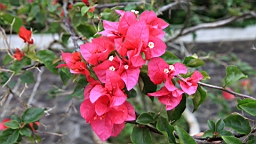 IMG_1277.JPG