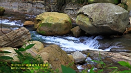 IMG_1286.JPG
