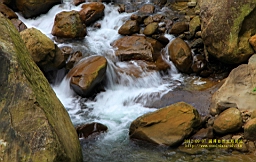 IMG_1295.JPG