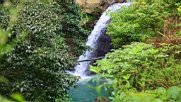 IMG_1306.JPG
