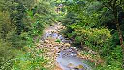 IMG_1307.JPG