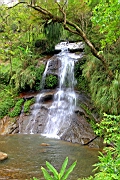 IMG_1316.JPG