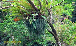 IMG_1317.JPG
