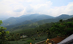 IMG_1332.JPG