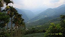 IMG_1334.JPG
