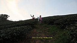 IMG_4383.JPG