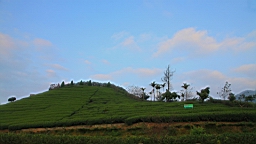 IMG_4397.JPG