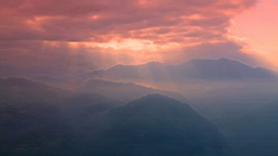 IMG_4439.JPG