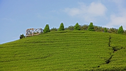 IMG_4444.JPG
