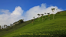 IMG_4466.JPG