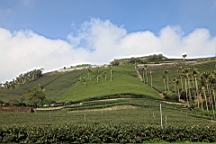 IMG_4471.JPG