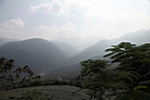 IMG_4485.JPG