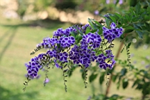 IMG_4502.JPG