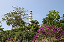 IMG_4507.JPG