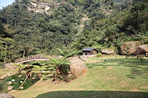 IMG_4534.JPG