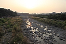 IMG_4543.JPG