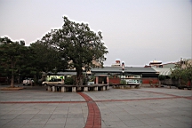 IMG_4548.JPG
