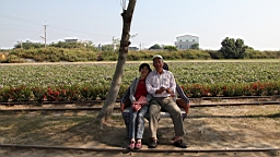 IMG_4555.JPG