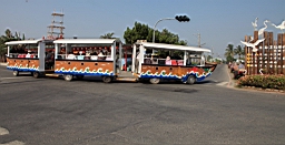IMG_4564.JPG