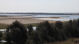 IMG_4630.JPG