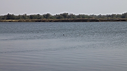 IMG_4633.JPG