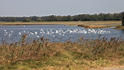 IMG_4634.JPG