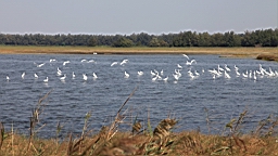IMG_4636.JPG
