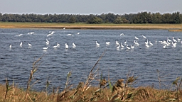 IMG_4637.JPG