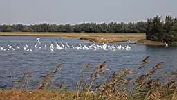 IMG_4639.JPG